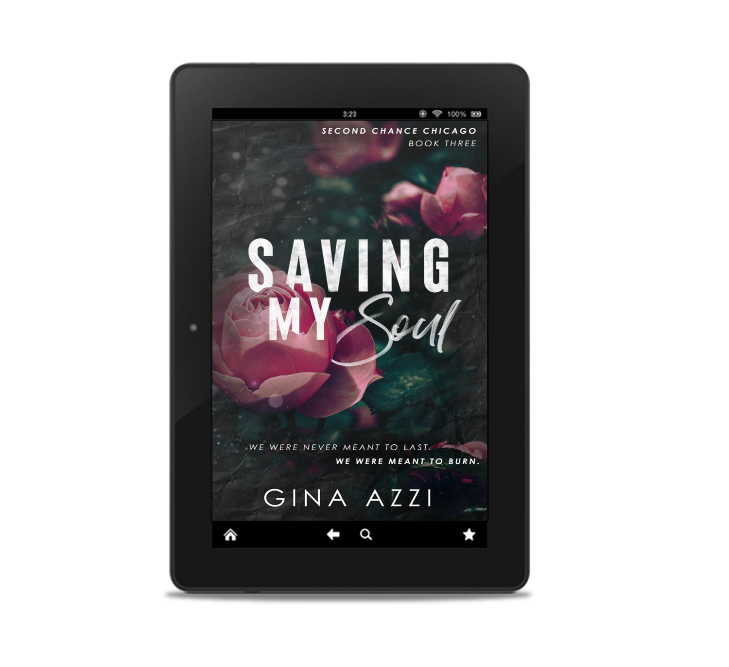 Saving My Soul: A Second Chance MMA Romance (Second Chance Chicago Series Book 3) eBOOK